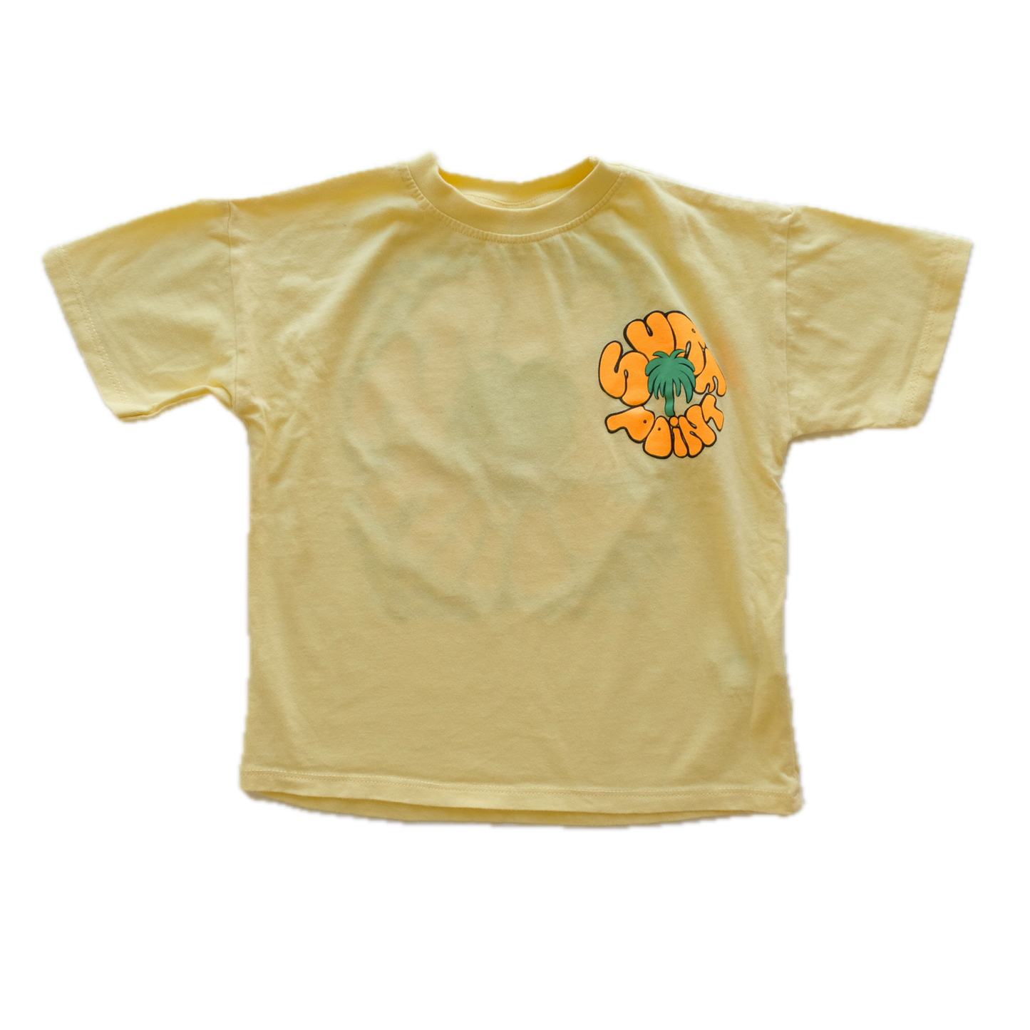T-shirt Zara - 2 ans (92 cm)