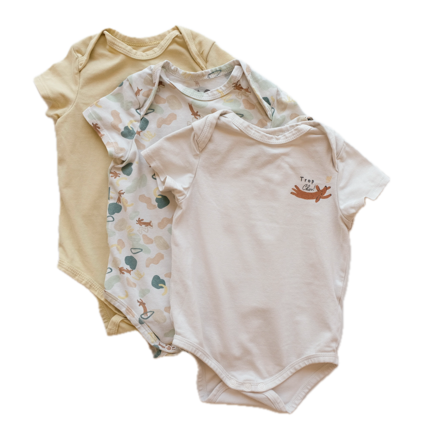 Lot de 3 bodies TAO - 6 mois (68 cm)
