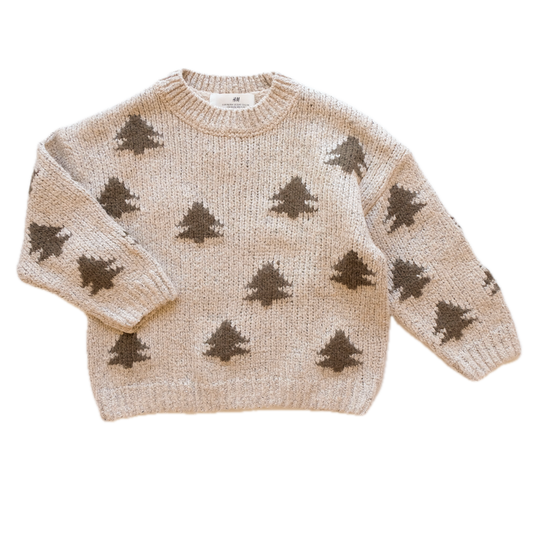 Pull H&M - 4 ans (104 cm)