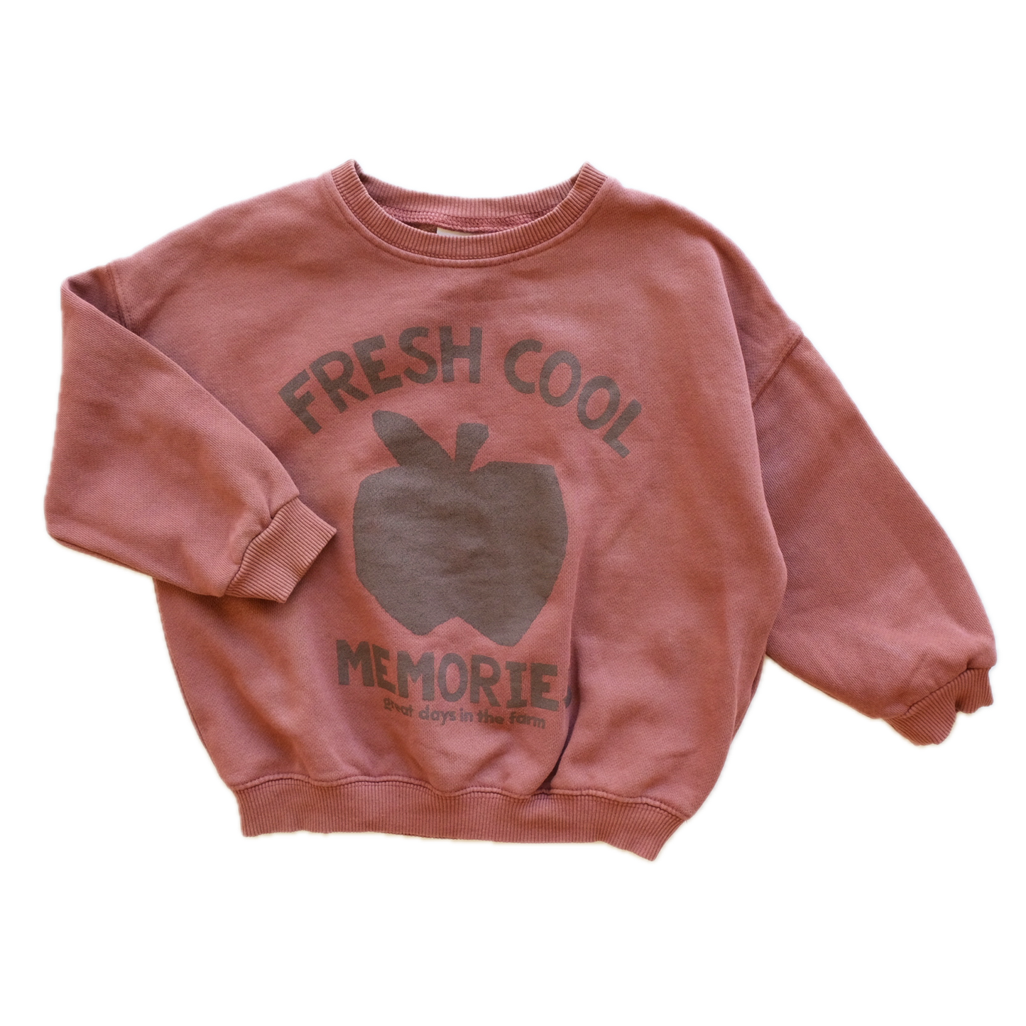 Sweat Zara - 3 ans (98 cm)