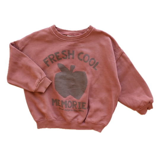 Sweat Zara - 3 ans (98 cm)