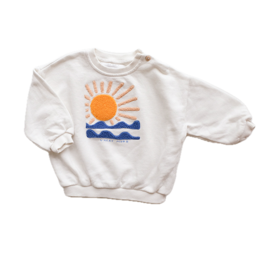Sweat Zara - 9 mois (74 cm)