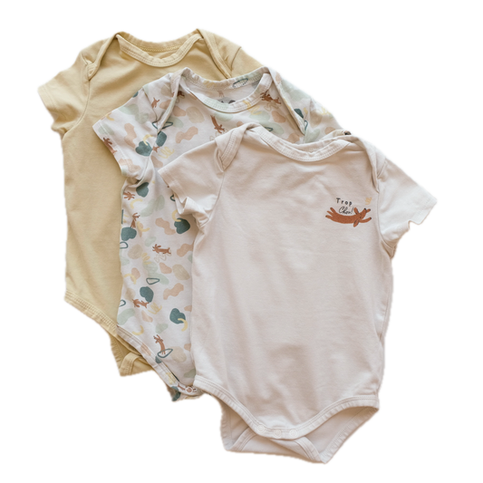 Lot de 3 bodies TAO - 6 mois (68 cm)
