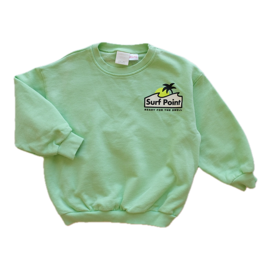 Sweat Zara - 3 ans (98 cm)
