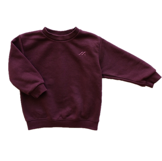 Sweat Zara - 2 ans (92 cm)