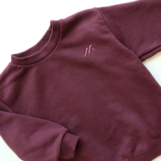 Sweat Zara - 2 ans (92 cm)